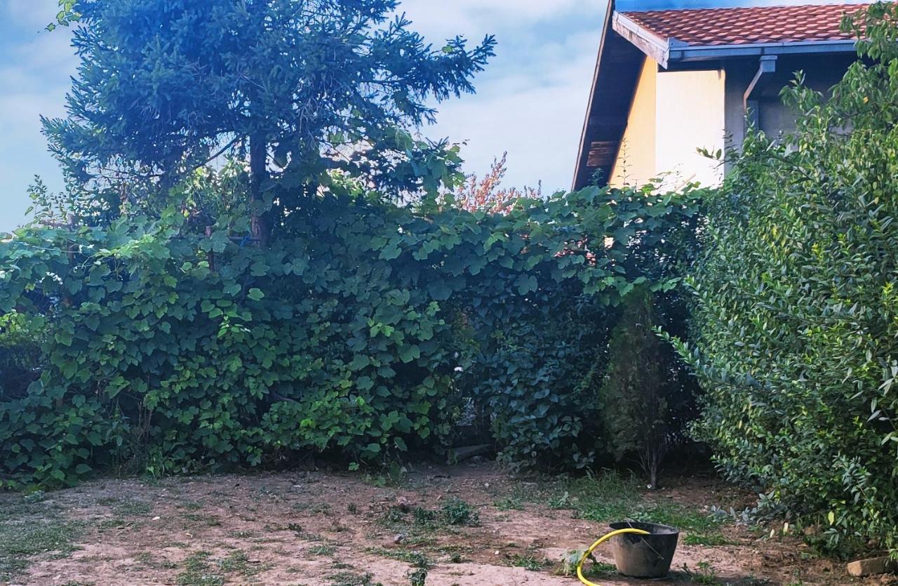 Farmhouse Studios Belgrad Exterior foto